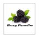 ベリーパラダイス オフィシャルサイト